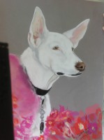 /album/galerie-photos/photo-1374-jpg/